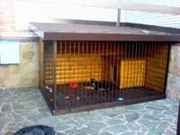 project