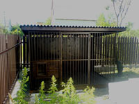 project